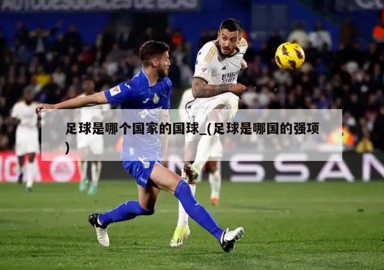 足球是哪个国家的国球_(足球是哪国的强项)