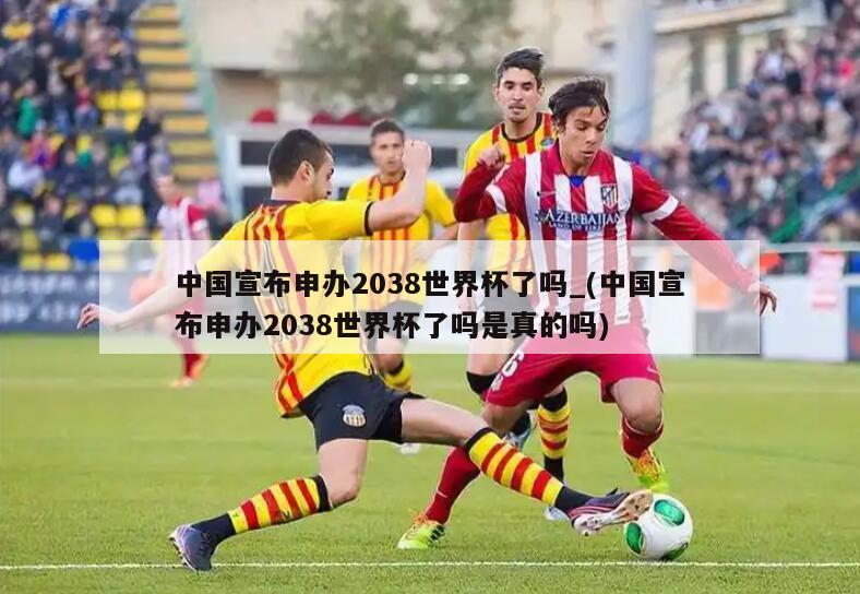 中国宣布申办2038世界杯了吗_(中国宣布申办2038世界杯了吗是真的吗)
