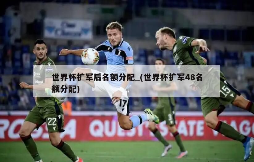 世界杯扩军后名额分配_(世界杯扩军48名额分配)