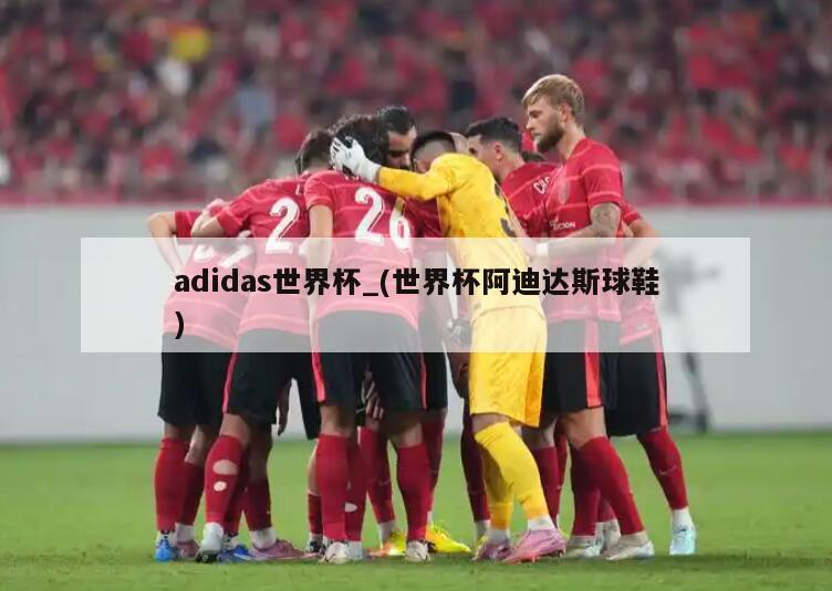 adidas世界杯_(世界杯阿迪达斯球鞋)