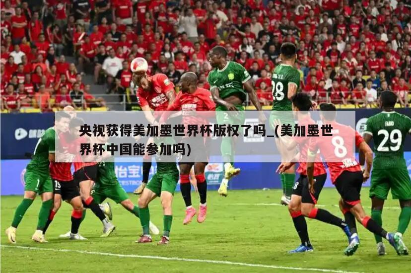 央视获得美加墨世界杯版权了吗_(美加墨世界杯中国能参加吗)