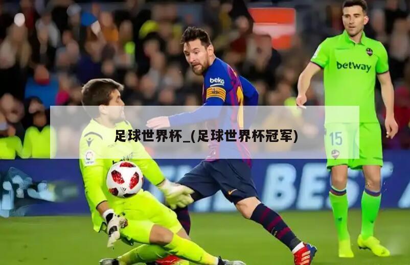 足球世界杯_(足球世界杯冠军)